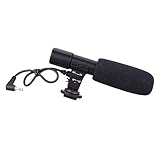 Microphone d'interview : peut être offert en à votre famille et à vos amis vlogueurs.