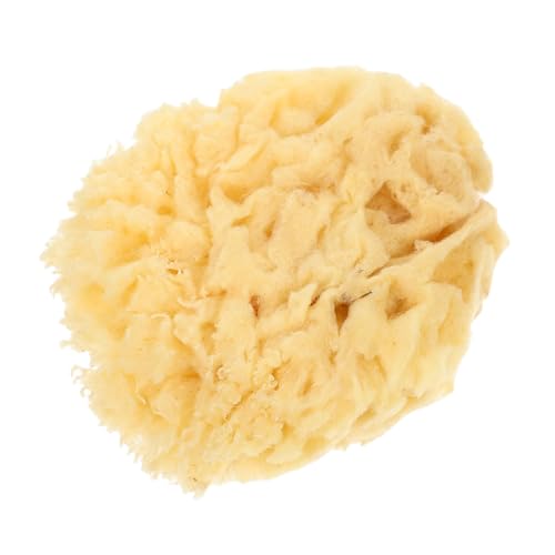 Holibanna Natural Art Sponges for Painting Soft Durable and Highly Absorbent Watercolor Tool for Artists Multi Functional Craft Sponge for DIY Projects