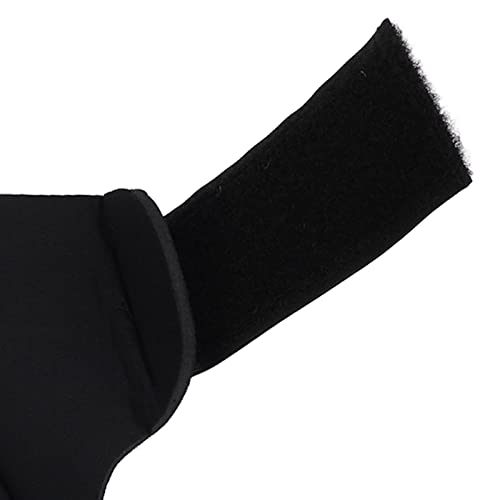 Botas de Suporte para Cavalo, Protetor de Pernas de Cavalo Com Ajuste Seguro Elástico para Passeios