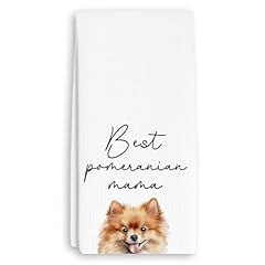 Pomeranian White