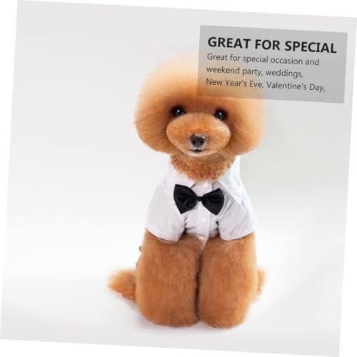 Disfraz formal para perro XXL con pajarita y tirantes miniatura 7