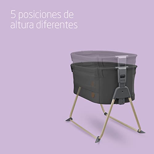 Variante de Maxi-Cosi cuna colecho Tori Beyond Graphite