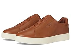 Ch British Tan/Ivory