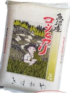 魚沼産コシヒカリ 天日干し米 5kg お米 おこめ こめ 精米 白米 こしひかり 新潟