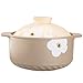 Ceramiczne naczynie garnkowe z pokrywką, 2000 ml wysokotemperaturowa kuchenka gazowa do użytku domowego, otwarty płomień, gliniany garnek, ryż, bezpieczny w piekarniku, żaroodporny do 752F