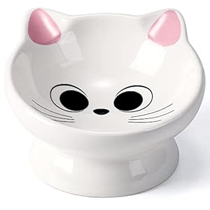 Raised Cat Food Bowl Ceramic 15° Tilted Cat Food Bowls Protect Cat’s Spine Anti Vomiting Backflow Prevention Bowls for Adult Kitty, Kitten, and Small Dogs, Pink