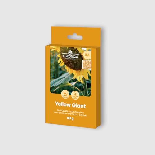 AGRONOM | Graines de Tournesol - YELLOW GIANT | Graines de Fleurs | Graines de Plantes | Graines de Jardin | Les graines ont des coques tachetées, de gros noyaux | 1 paquet