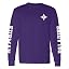 Furman University Paladins Purple