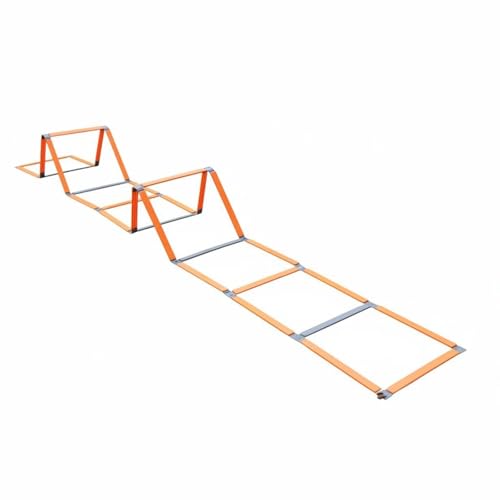 Échelle d'agilité portable pour des récréations actives et un kit d'agilité à l'école