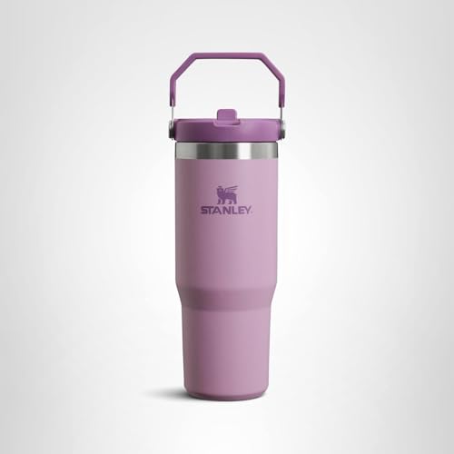 Stanley IceFlow Flip Straw Tumbler with Handle 30 oz | Twist On Lid and Flip Up Straw | Leak Resistant Water Bottle | Insulated Stainless Steel |BPA-Free | Lilac