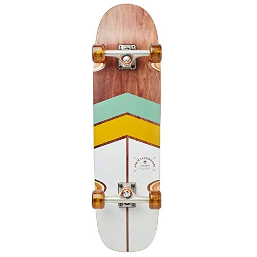 Arbor Cucharon Foundation 32375 Complete Longboard #TOP18