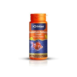 Growel Intan Goldfish Pellets (Small 1.5mm Floating) | 55gm – Highly Nutritious Ornamental Fish Food for all Goldfish – Ryukin, Red Cap, Ranchu & Lionhead