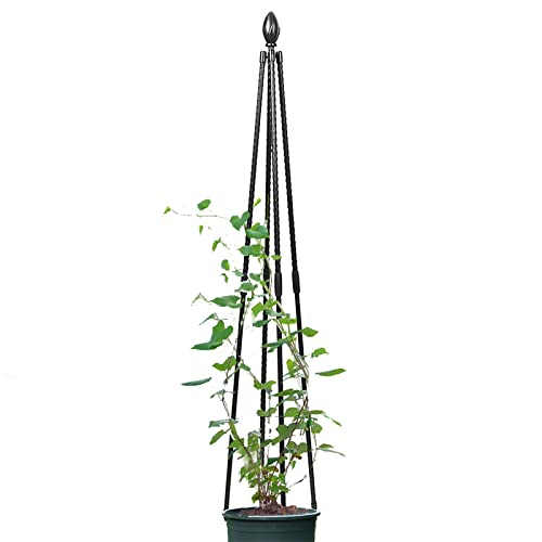 Torres de plantas enrejado para plantas trepadoras al aire libre, enrejado jaulas de tomate, soporte de metal recubierto a prueba de óxido (47)