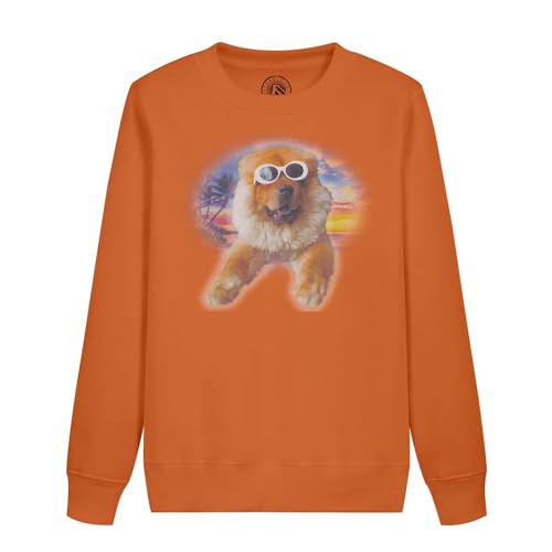 Sweatshirt enfant cool dog un cadeau d'anniversaire original et drôle