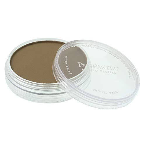 Panpastel 27805 Ultra Soft Artist Pastel, Raw Umber, 780.5 #TOP2
