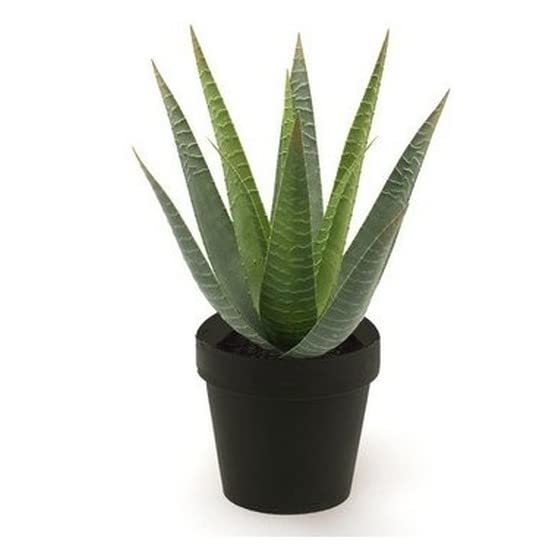 Planta artificial aloe vera verde en maceta 23 cm - Planta de interior aloe vera verde