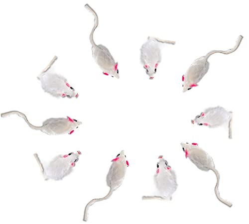 ELANOX 10er Set Spielmäuse Spielmaus 10 Stück mit Glocke und ohne Plastikteile außen (Augen, Nase) in Katzenminze getränkt Katzenspielzeug (10...