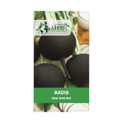 100 graines Radis rond noir hiver - radish - radis gros rond hiver noir - black globe -