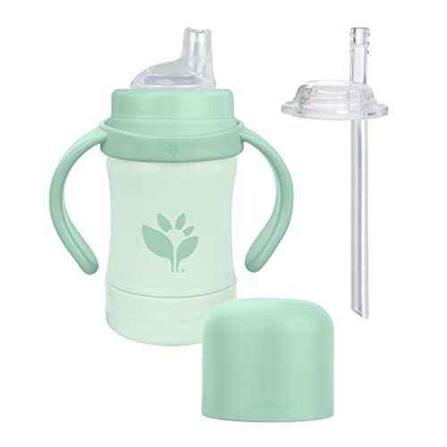 Green Sprouts Sprout Ware Sip & Straw