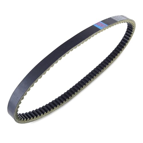 Courroie de distribution synchrone pour NSS250 Forza et Jazz