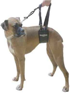 Miniatura 5 de GINGERLEAD Arnés de soporte para eslinga de perro, SM hembra se ajusta a mascotas de tamaño pequeño a mediano o perros de pecho más ancho como