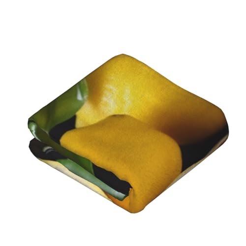 Couverture en flanelle pour canapé 152x127cm lavable - 4