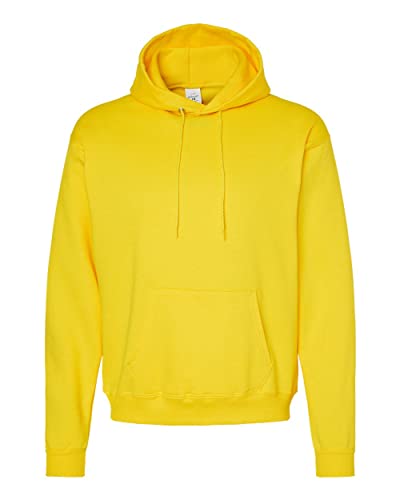 Hanes Mens Ecosmart Hooded Sweatshirt, 2XL,...