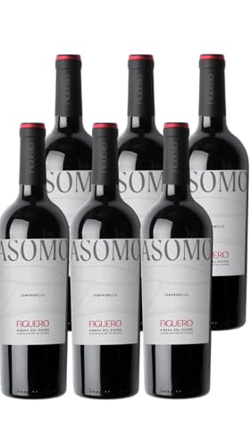 Figuero Asomo Tempranillo – Vino Tinto D.O. Ribera del Duero | Pack de 6 Botellas (75 cl) | Joven, Fresco y con Carácter