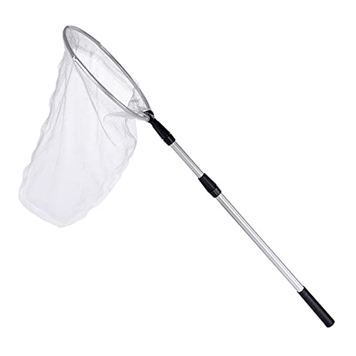 Red de pesca para insectos, red de captura de mariposas, red de nailon con mango telescópico para adultos y niños, extensible de 37 a 68 pulgadas