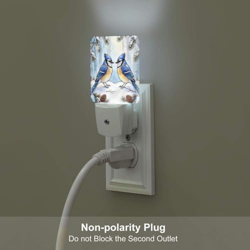 Image of Winter Hummingbirds Blue LED Plug-in Night Light 2 Pack, Nightlights Set of 2 for Bedroom Bathroom Stairs