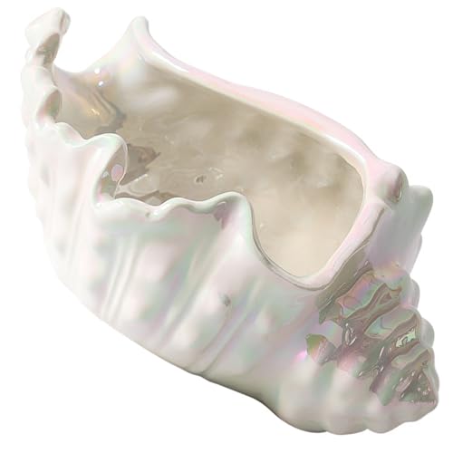 Z~bNWG[fBXvCMɂLp^[[ANZT[lbNXuXbgLWG[gC