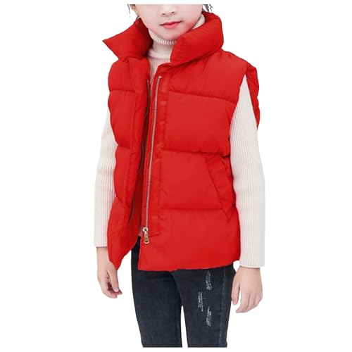 STARDOM スターダム フライトジャケット MA-1ジャンパー中綿