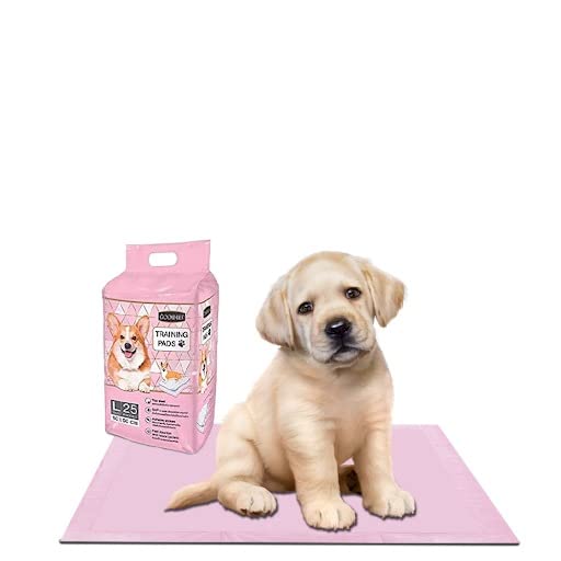 WaggyTails Orignal (New Edition) Goodies Pee Pads for Dogs Training Pads Super Absorbent Pee Mats Poop Pee Trainer Pet & Puppy Pee Trainer (Large 25 Pieces) (60 x 90 Cm) (Pack of 4) (B0BSL817X3) Amazon Price History, Amazon Price Tracker