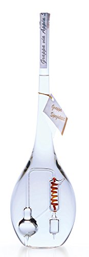 Geschenkset aufwändige Destille-Nachbildung aus Glas in handgefertigter Flasche, gefüllt mit 350 ml Bodensee Obstbrand 38% vol. Preis/Liter, in Geschenkverpackun €) Cover