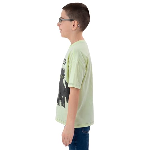 How To Train Your Dragon Shirt, Toothless Kids Tshirt, Short Sleeve Boys Shirt for Summer, Cotton Boys T-Shirt3
