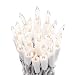 612 Vermont Clear 20 Count Christmas String Lights on White Wire Cord, UL Approved for Indoor Use Only, Total Length 4.9 Foot, Lighted Length 3.4 Foot
