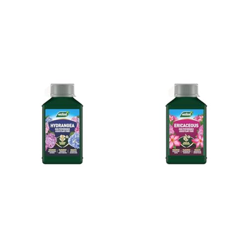 Westland 20100444 Hydrangea High Performance Liquid Plant Food 1 Litre, Green & Ericaceous High Performance Liquid Plant Food 1 Litre, Green