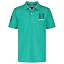 Aqua Green