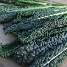 Genipap 50 Black Magic Boerenkool plantenzaden - Afbeelding 4