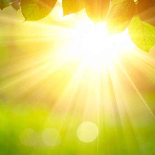 Returning to Focus: A 9-Minute Reset