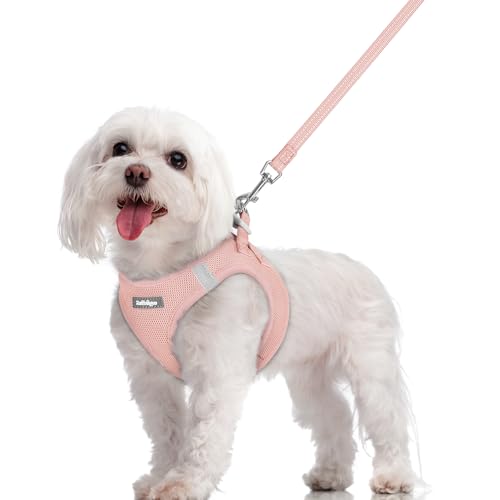 Rabbitgoo ���n�[�l�X ���[�h�Z�b�g �����^�� ���^�� ���^�� ��^�� ���p ���� �\�t�g �}�W�b�N�e�[�v�t�� ���ˑf�ޕt�� �y�b�g�p�i �́[�˂� ��������h�~ �����Ȃ� �A�ɗD���� ��Ԕ��� ���߉\ �E���ȒP �y�� ���b�V�� ���K �ʋC ���