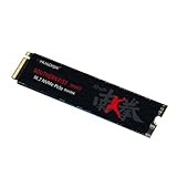 LYEAA Solid State Drive SSD M.2 2280 NVMe PCIe3.0 - Realtek Controller, bis zu 1 TB für PC & Laptop