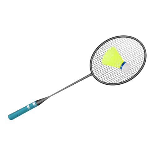 BRIGHTFUFU 8Pcs LED Badminton Shuttlecocks Glowing Night Shuttlecocks for School Sports Durable Nylon Construction with Light Colors Present for Badminton Enthusiasts