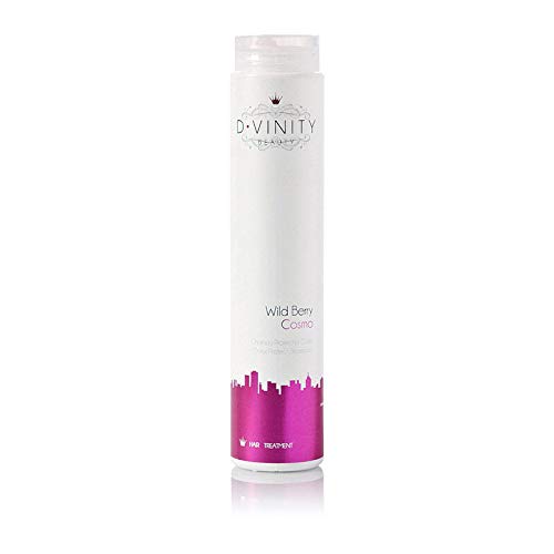 D.VINITY Wild Berry - Champú de Pelo Protector de Color, Cabello Teñido o Decolorado, Repara y Protege, Champú con Jugo de Açai, Cabello Suave y Brillante, 250ml (250 ml) Cover