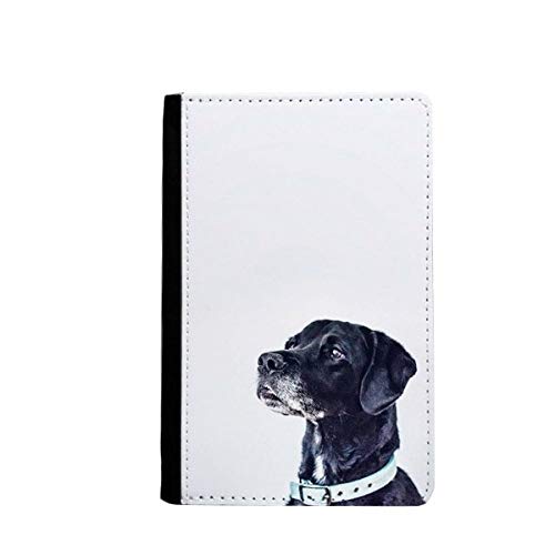 Porte-passeport pour chien blanc évite les documents abîmés au voyage