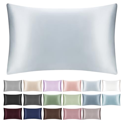 SILKTALE 100% Mulberry Silk Pillowcase with Hidden Zipper,Both Sides Pure Silk Breathable Pillow Case for Hair and Skin,19 Momme Grade 6A,1pc,Light Blue,Queen Size 20x30 Inches