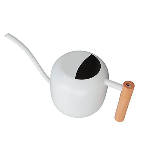 Arrosage pot d'intérieur grande capacité acier inoxydable pour maison Domary