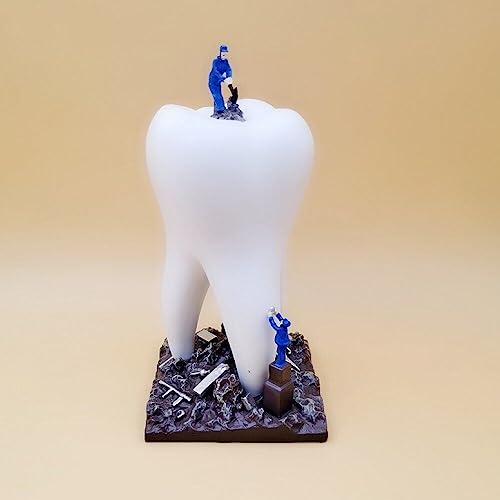 Sculpture d'art de dentiste en forme de dent pour décoration de bureau - 5