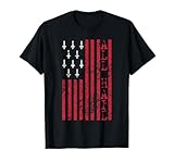 Upside Down Cross Occult American Flag All Hail Satanic T-Shirt