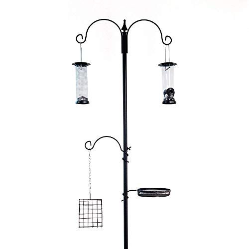 Find The Best Bird Baths Attracting Birds Reviews & Comparison Katynel